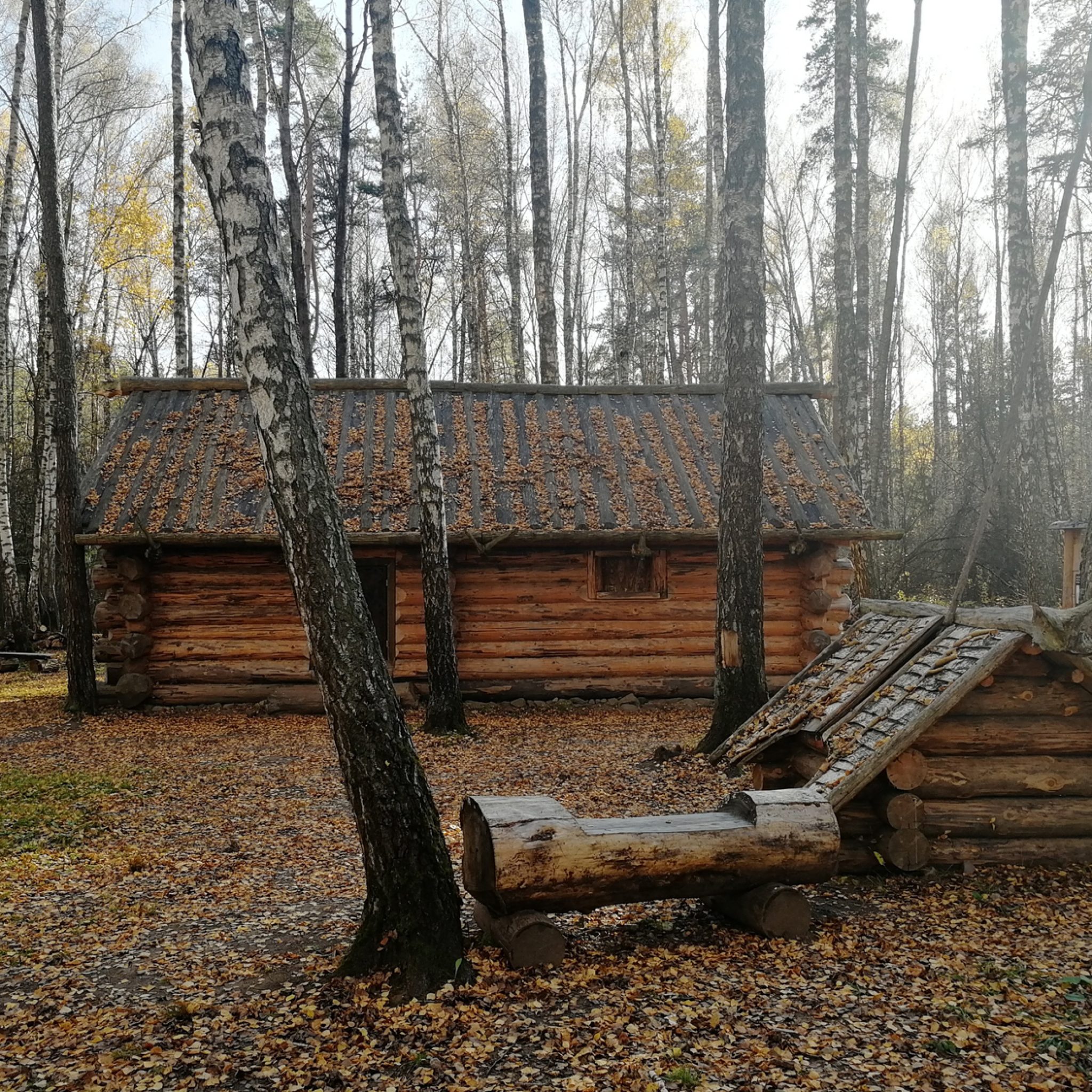 Гнездово. Гнёздово (археологический комплекс). Музей-заповедник Гнёздовские Курганы.. Гнездовский комплекс Смоленск. Заповедник Гнездово Смоленск.